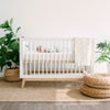 Soho 3-in-1 Convertible Crib - baby crib
