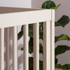 Soho 3 - in - 1 Convertible Crib - cribs - Almond Milk/Walnut