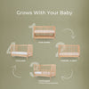 Soho 3 - in - 1 Convertible Crib - cribs - Natural