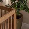 Soho 3 - in - 1 Convertible Crib - cribs - Walnut