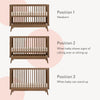 Soho 3 - in - 1 Convertible Crib - cribs - walnut