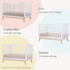 Soho 3 - in - 1 Convertible Crib - cribs - white + natural