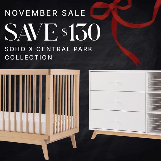 Soho x Central Park Collection - Bundle - Soho 3 - in - 1 Convertible Crib / White - Central Park 3 - Drawer, Two Shelf Nursery Dresser / white + natural
