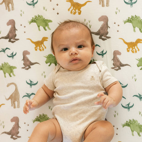 Stretch Knit Crib Sheet - Dino Pals - Crib Sheet - Dino Pals